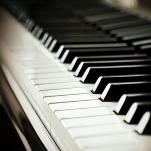 最骚操逼小说视频
