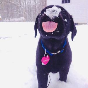 最骚操逼小说视频
