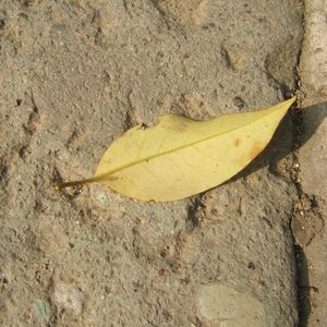 最骚操逼小说视频
