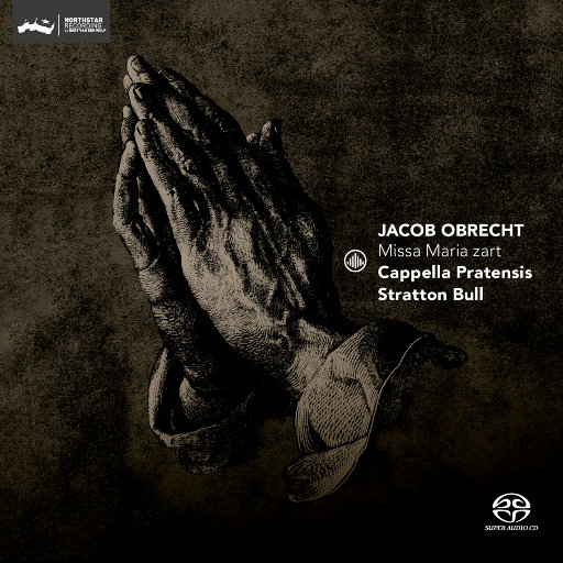 最骚操逼小说视频
